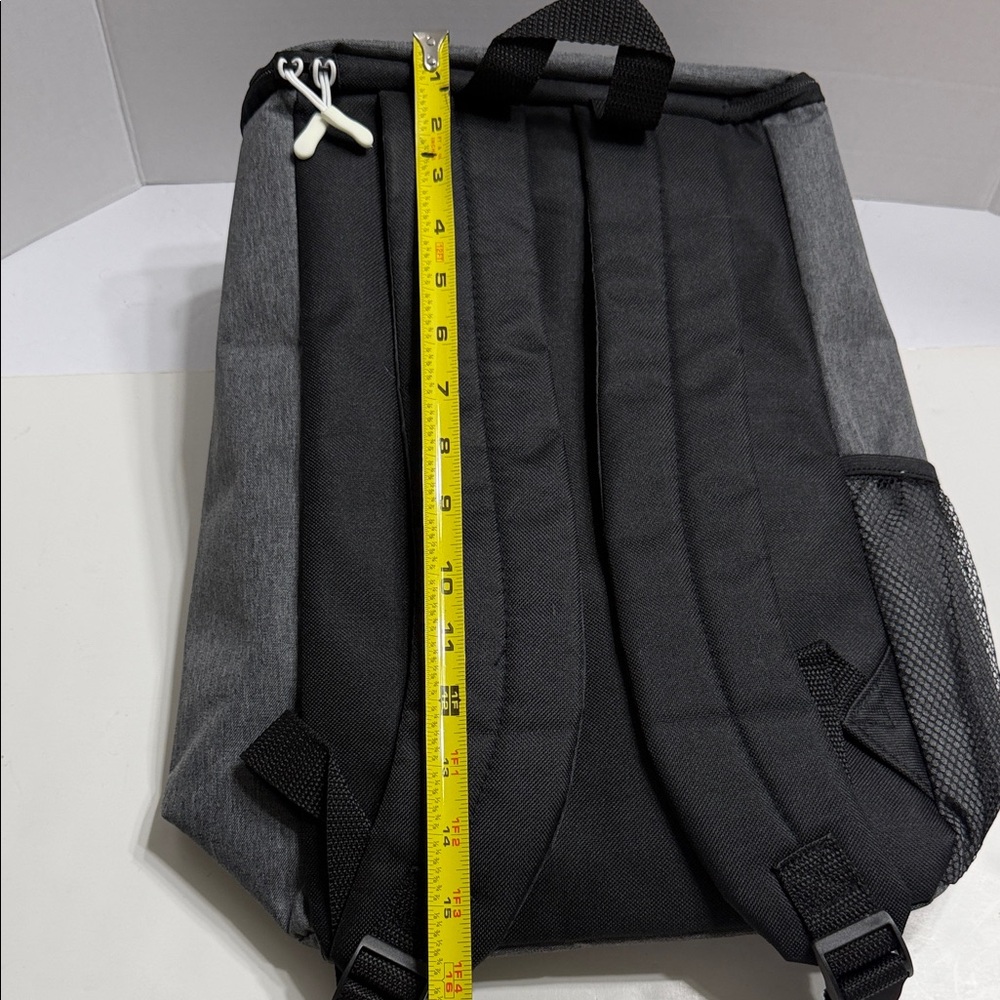 Gray Cooler Backpack with Mesh Pockets - image 11